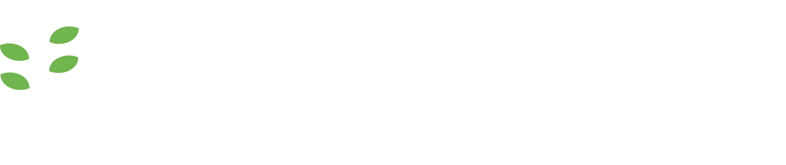 ZalumynasLogotipasGalutinisV3