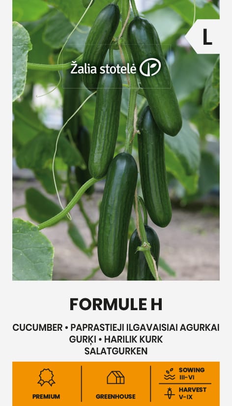 AGURKAI PAPRASTIEJI ILGAVAISIAI FORMULE H