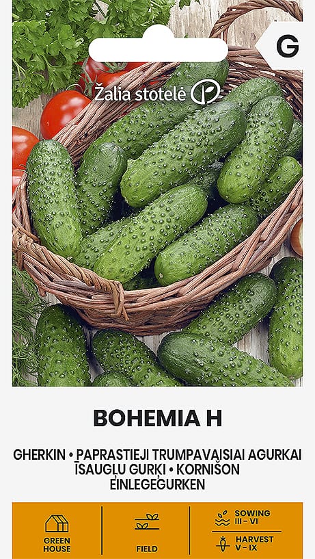 AGURKAI PAPRASTIEJI TRUMPAVAISIAI BOHEMIA H