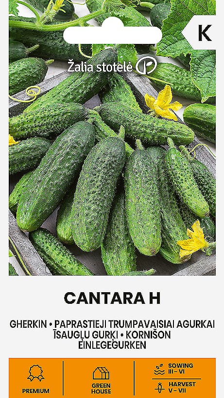 AGURKAI PAPRASTIEJI TRUMPAVAISIAI CANTARA H