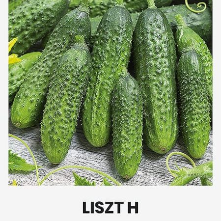 AGURKAI PAPRASTIEJI TRUMPAVAISIAI LISZT H