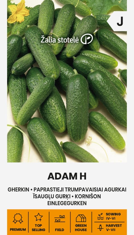 AGURKAI PAPR.TRUMPAVAISIAI ADAM H