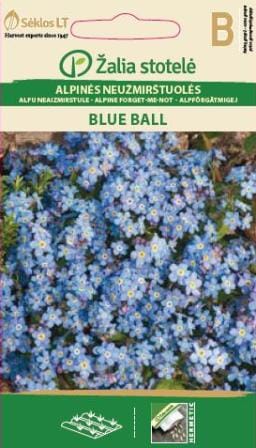 ALPINĖS NEUŽMIRŠTUOLĖS BLUE BALL