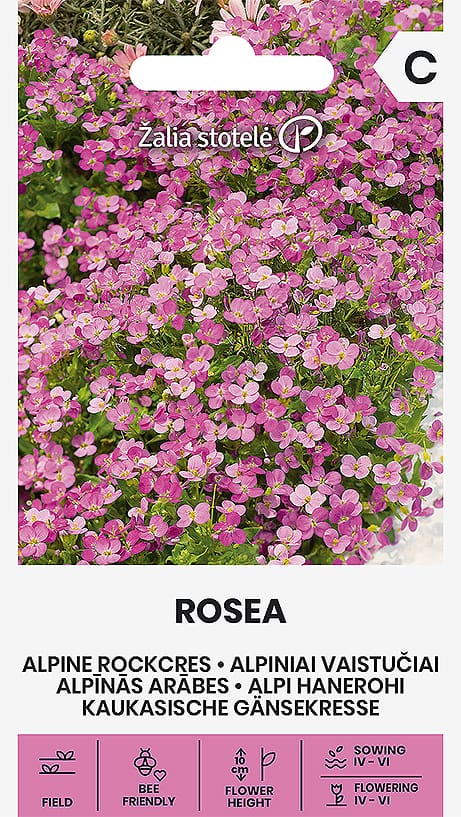 ALPINIAI VAISTUČIAI ROSEA