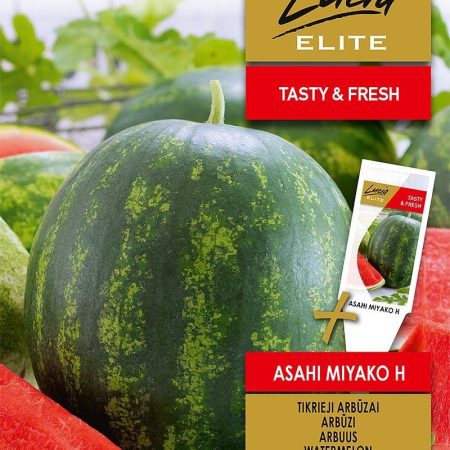 ARBŪZAI TIKRIEJI ASAHI MIYAKO H