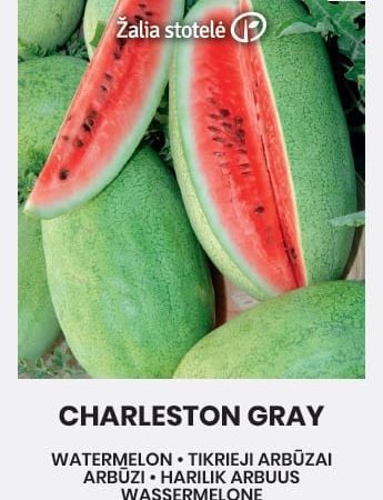 ARBŪZAI TIKRIEJI CHARLESTON GRAY