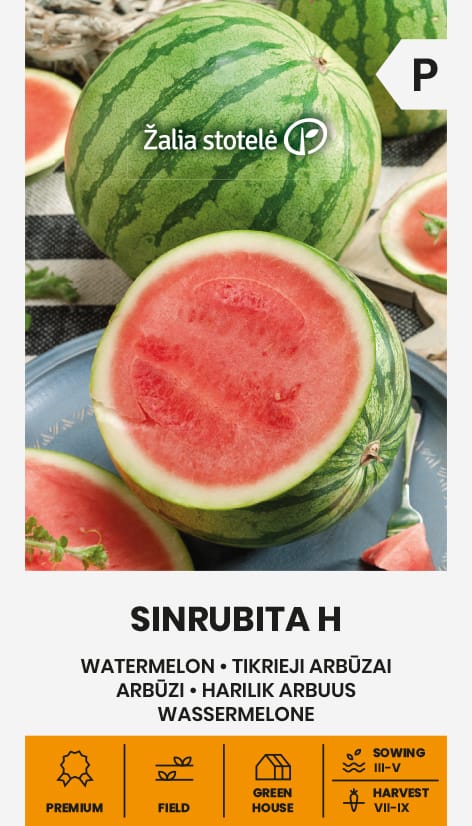 ARBŪZAI TIKRIEJI SINRUBITA H