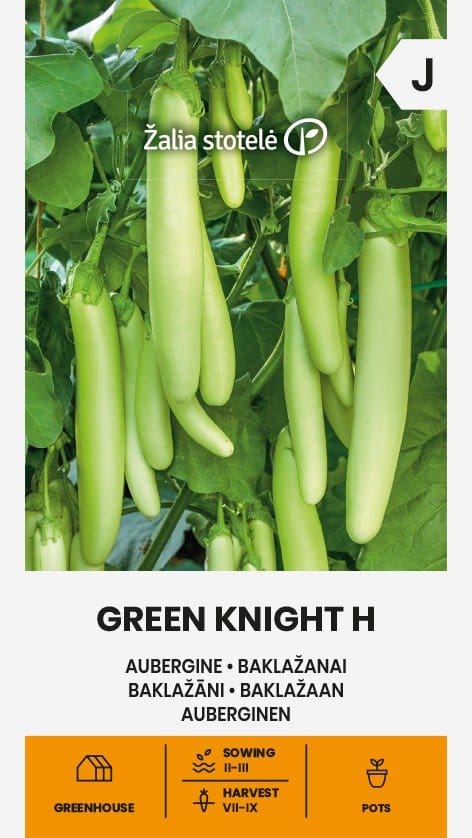 BAKLAŽANAI GREEN KNIGHT H