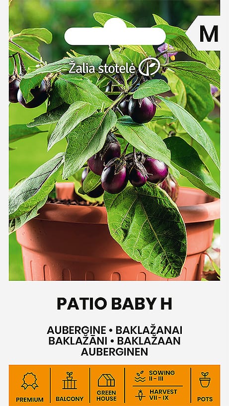 BAKLAŽANAI PATIO BABY H