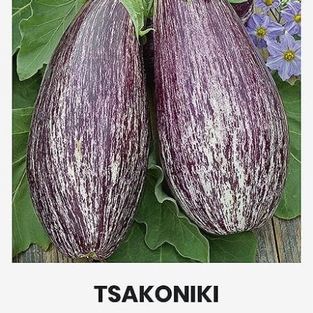 BAKLAŽANAI TSAKONIKI