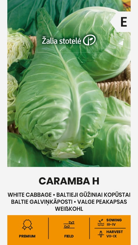 BALTIEJI GŪŽINIAI KOPŪSTAI CARAMBA H