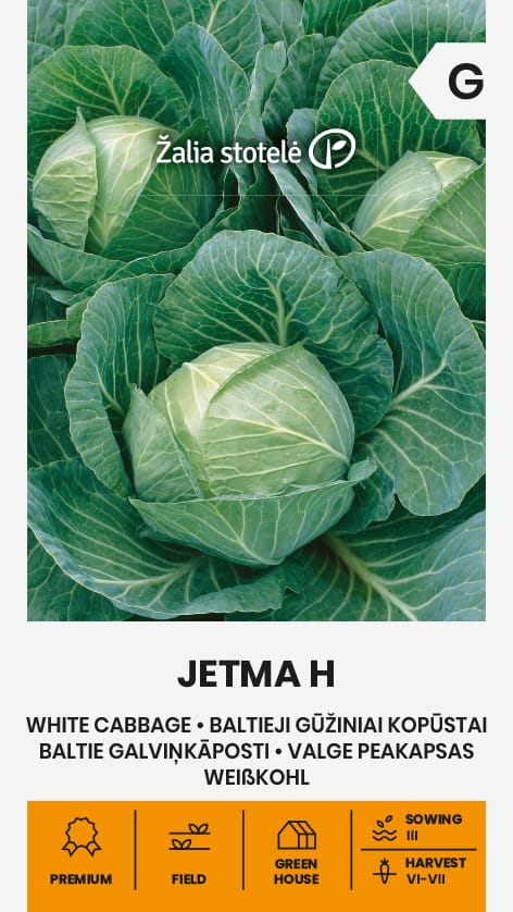 BALTIEJI GŪŽINIAI KOPŪSTAI JETMA H