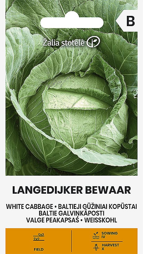 BALTIEJI GŪŽINIAI KOPŪSTAI LANGEDIJKER BEWAAR
