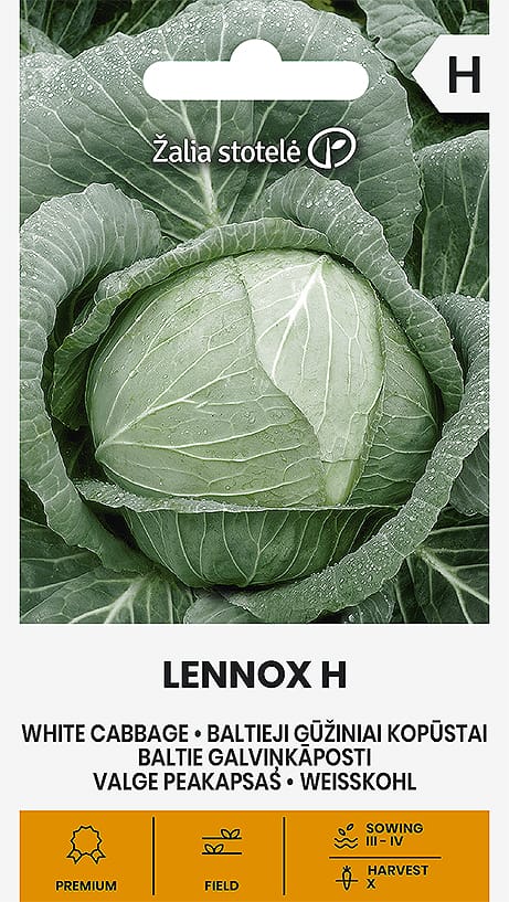 BALTIEJI GŪŽINIAI KOPŪSTAI LENNOX H