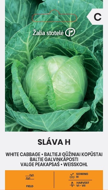 BALTIEJI GŪŽINIAI KOPŪSTAI SLAVA H