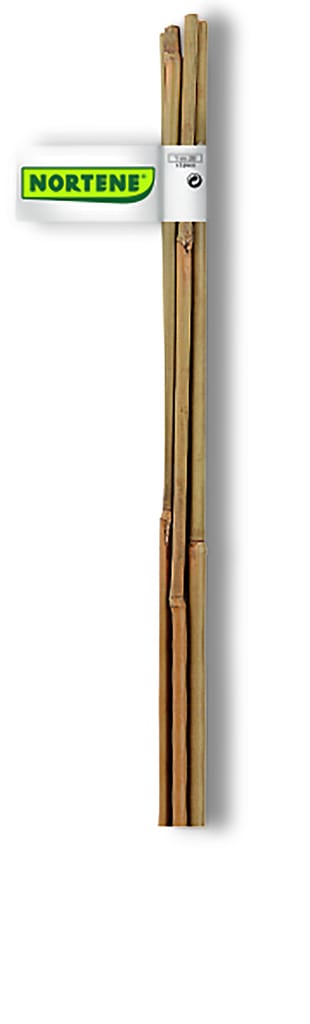 BAMBUKINĖS LAZDOS 140833 120CM 3VNT