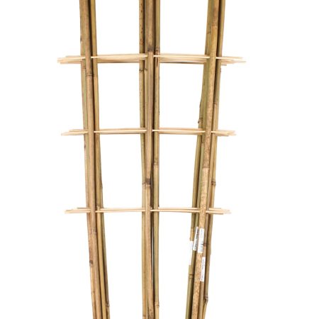 BAMBUKO KOPETĖLĖS 120CM/3
