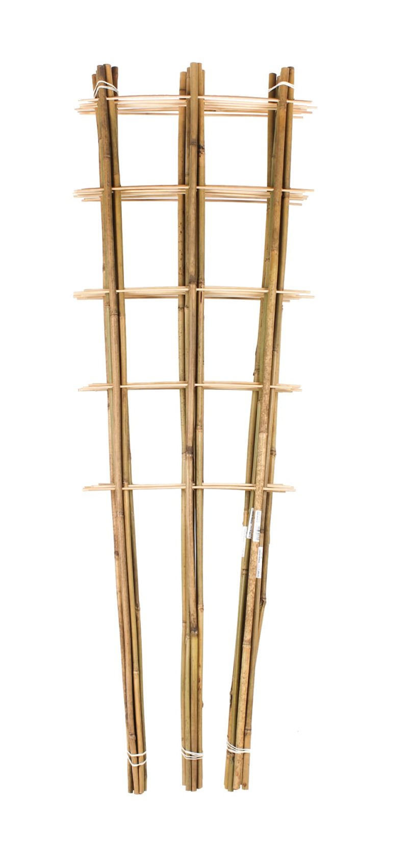 BAMBUKO KOPETĖLĖS 120CM/3