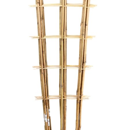 BAMBUKO KOPETĖLĖS 150CM/3