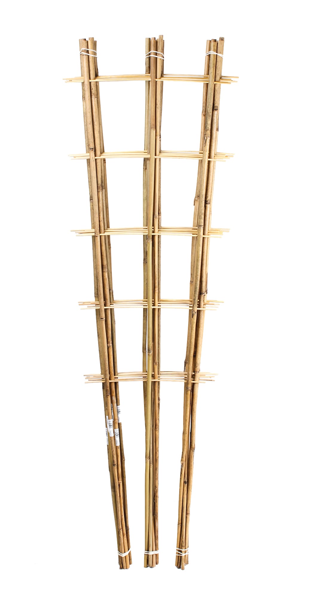 BAMBUKO KOPETĖLĖS 150CM/3