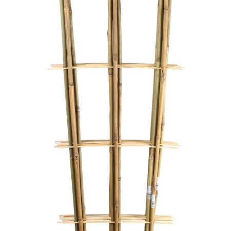 BAMBUKO KOPETĖLĖS 180CM/3