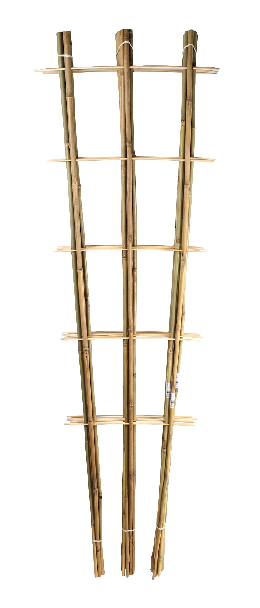 BAMBUKO KOPETĖLĖS 180CM/3