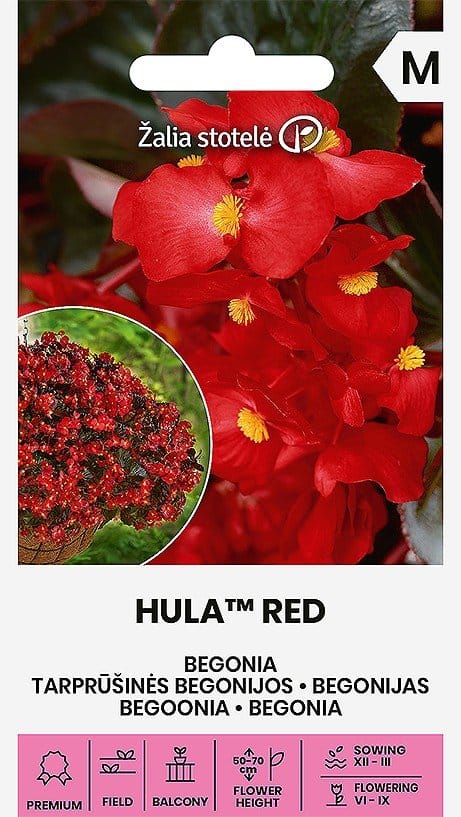 BEGONIJOS TARPRŪŠINĖS HULA™ RED