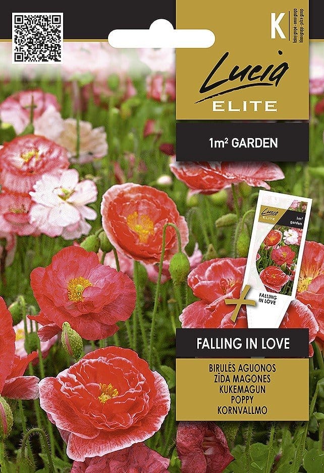 BIRULĖS AGUONOS FALLING IN LOVE