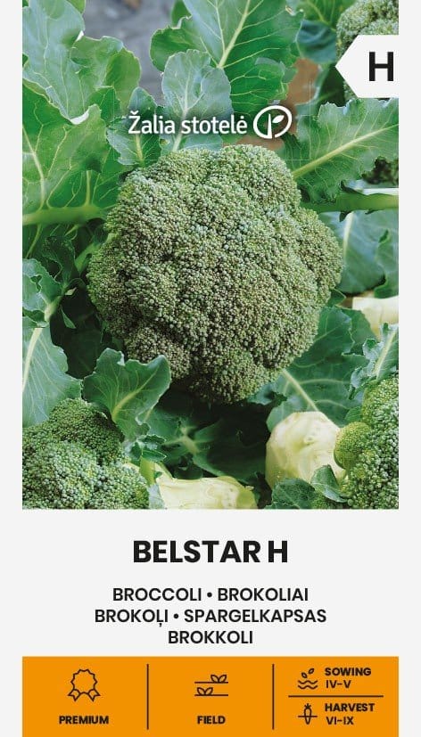 BROKOLIAI BELSTAR H