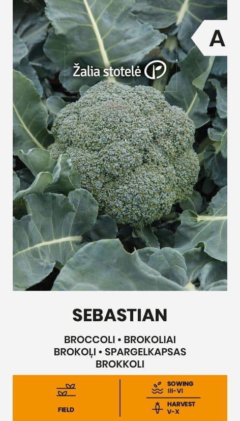 BROKOLIAI SEBASTIAN