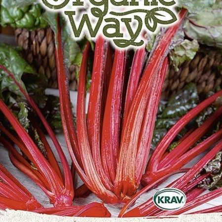 BUROKĖLIAI LAPINIAI RHUBARB CHARD