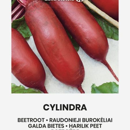BUROKĖLIAI RAUDONIEJI CYLINDRA