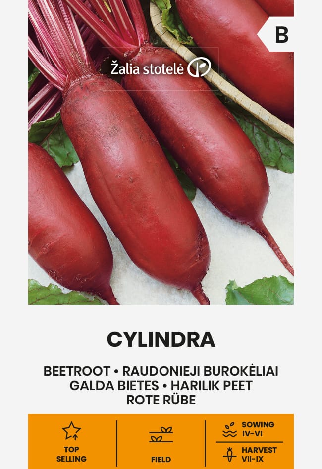 BUROKĖLIAI RAUDONIEJI CYLINDRA
