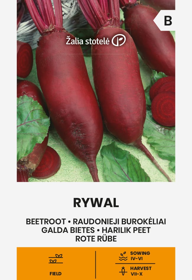 BUROKĖLIAI RAUDONIEJI RYWAL