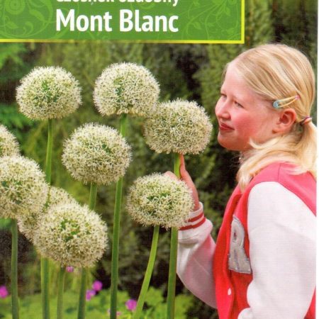 ČESNAKAI MONT BLANC