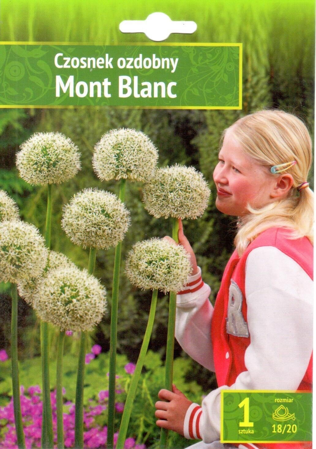 ČESNAKAI MONT BLANC