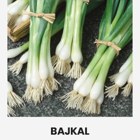 ČESNAKAI TUŠČIALAIŠKIAI BAJKAL