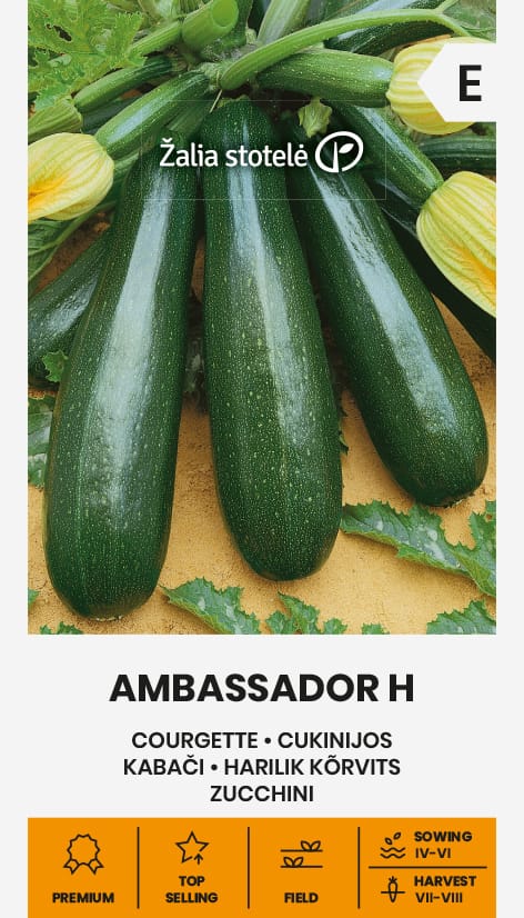 CUKINIJOS AMBASSADOR H
