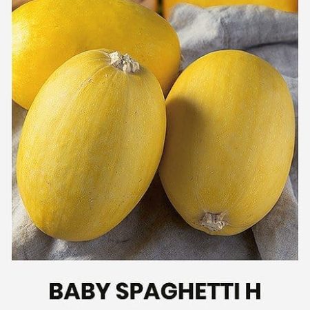 CUKINIJOS BABY SPAGETTI H