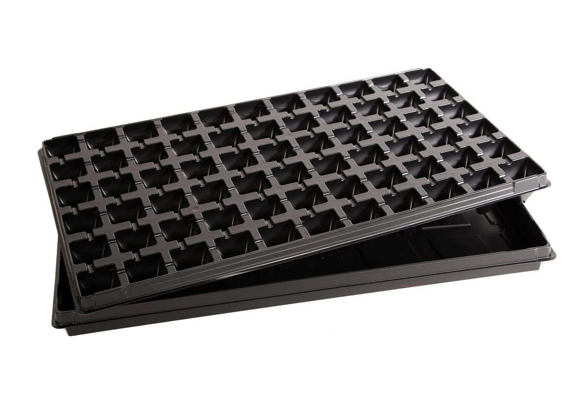 DAIGYKLA SU PADĖKLU 810200 66D