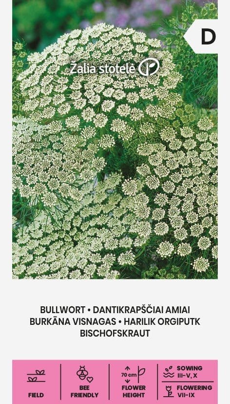 DANTIKRAPŠČIAI AMIAI