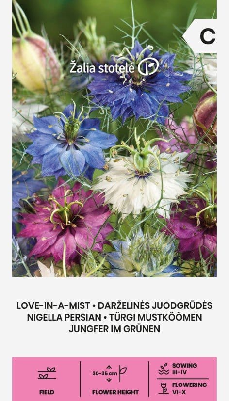 DARŽELINĖS JUODGRŪDĖS