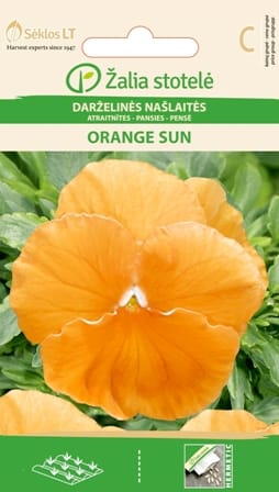 DARŽELINĖS NAŠLAITĖS ORANGE SUN