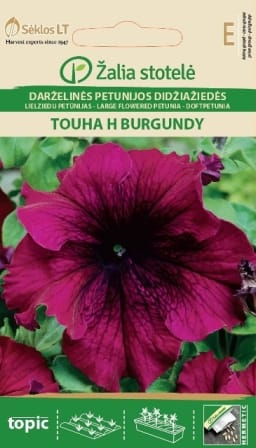 DARŽELINĖS PETUNIJOS GRANDIFLORA TOUHA H BURGUNDY