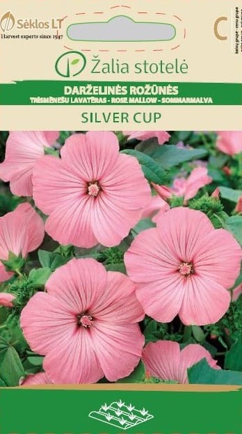 DARŽELINĖS ROŽŪNĖS SILVER CUP
