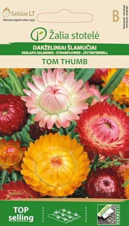 DARŽELINIAI ŠLAMUČIAI TOM THUMB