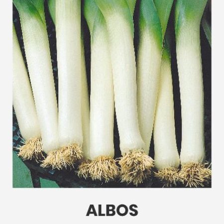 DARŽINIAI PORAI ALBOS