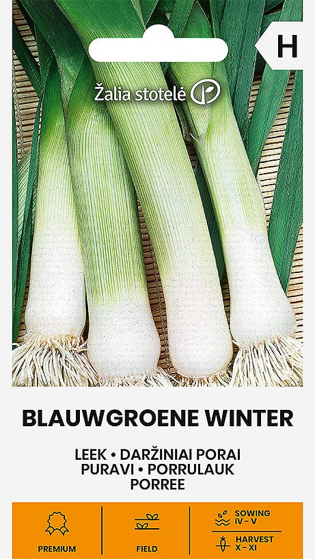 DARŽINIAI PORAI BLAUWGROENE WINTER (FORREST)