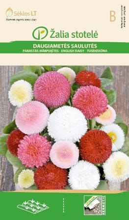 DAUGIAMETĖS SAULUTĖS