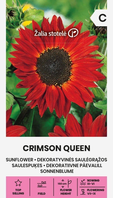 DEKORATYVINĖS SAULĖGRĄŽOS CRIMSON QUEEN - Image 2